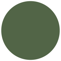 échantillon de couleur vert