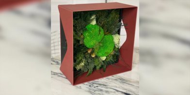Oeuvre d\'art végétale