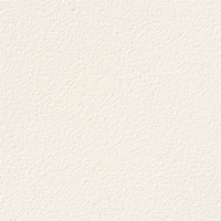 Coloris blanc