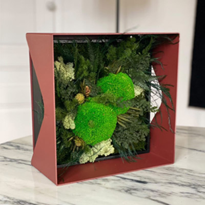 Tableau végétal, cube en acier avec décoration végétale